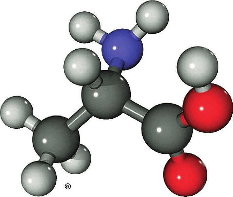 Why do even the most basic biomolecules contain carbon atoms?