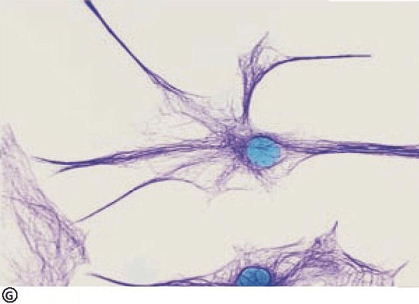 Are all cells invisible to the human eye?