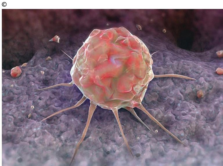 Are "stem cells""dehydrated cells"?