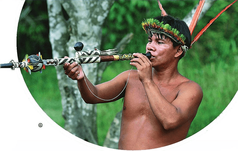 Why could Native Americans kill prey from tens of meters away with blowgun darts?