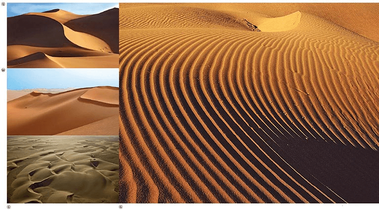 Perché le dune di sabbia in tutto il mondo sono più o meno uguali?
